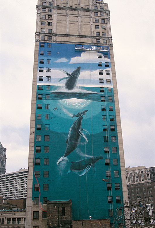 Dentist office, Detroit (1200x900) r/AbandonedPorn